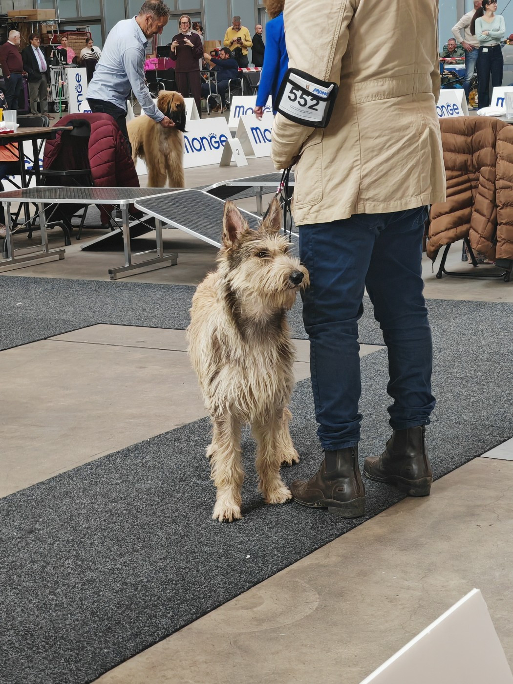 Vyctoire Des Bergers Du Desert