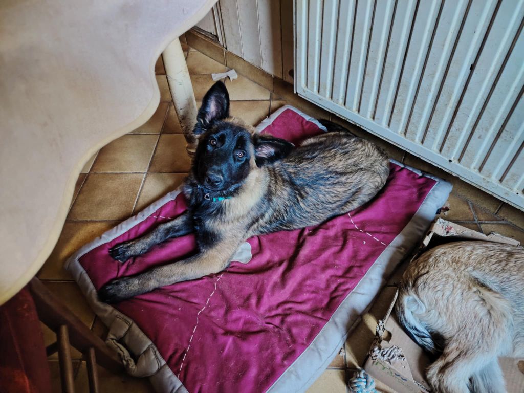 Valkiry des mystères de Teotihuacan